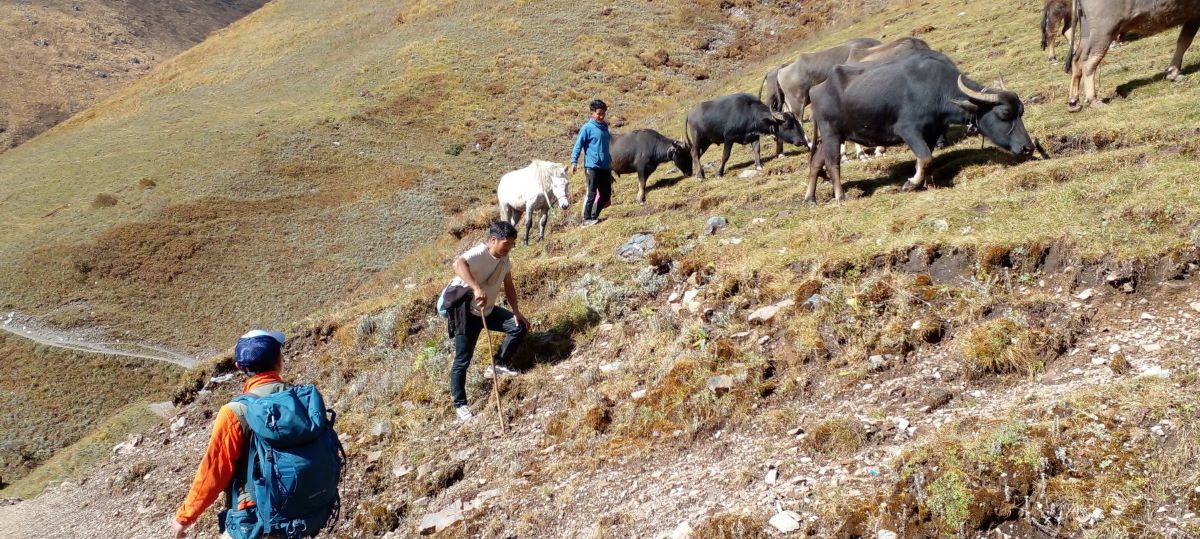 Dhorpatan Dhaulagiri Sightseeing By Helicopter