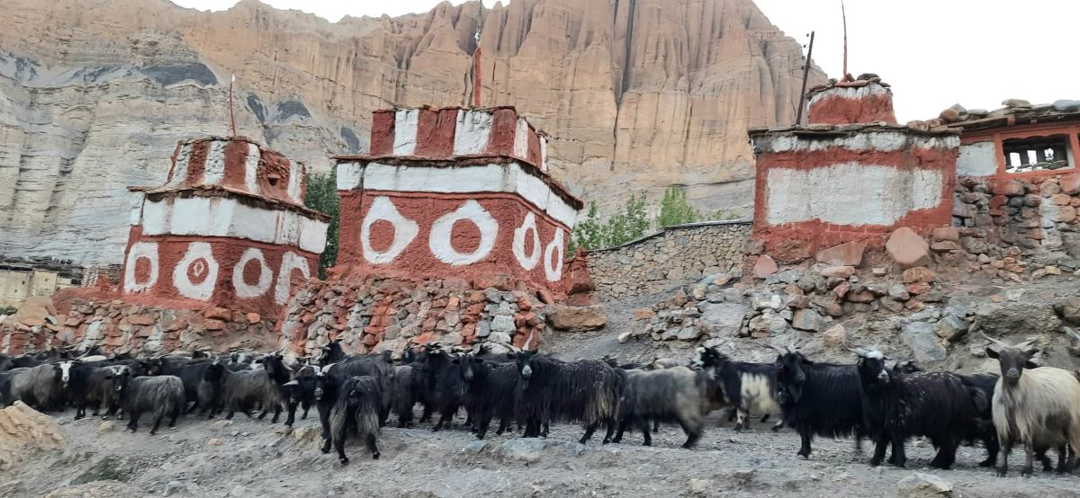 Royal Mustang Tour By Helicopter And Private Jeeps